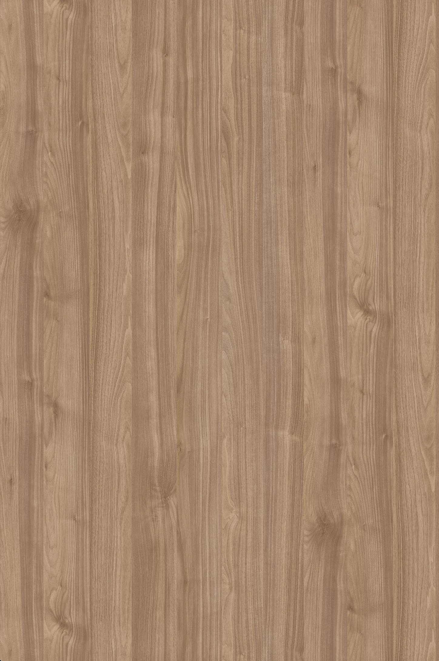 Melamine Faced Particle Board - K008 Light Select Walnut | WOODca